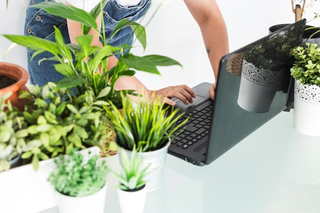 Florista feminina usando laptop com vasos de plantas na mesa