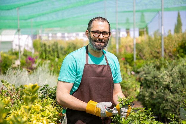 Florista masculina positiva em pé entre as fileiras com vasos de plantas em estufa, cortando arbustos, segurando brotos