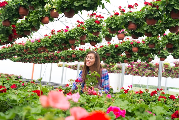 Florista sorridente e feliz organizando flores para venda no jardim da estufa