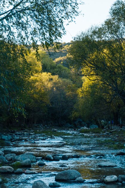 Fluxo de água correndo na bela paisagem de outono