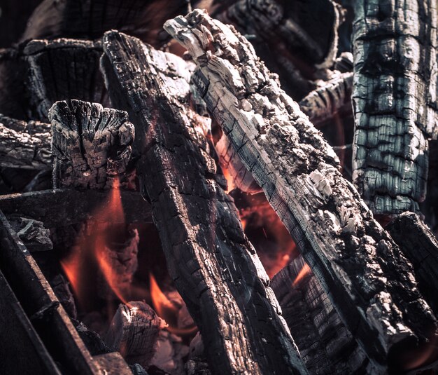 Fogo, chamas de brasa de madeira para churrasco ou piquenique, fumaça e lenha ao ar livre