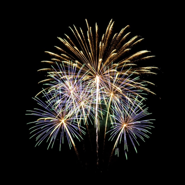 fogos de artifício 1196855 PNG