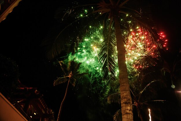 Fogos de artifício verdes explodem sobre as palmeiras no Havaí