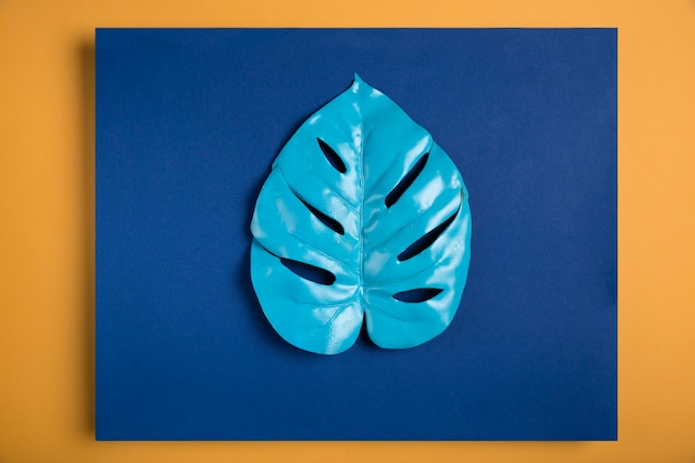 Foto grátis folha azul no retângulo azul escuro