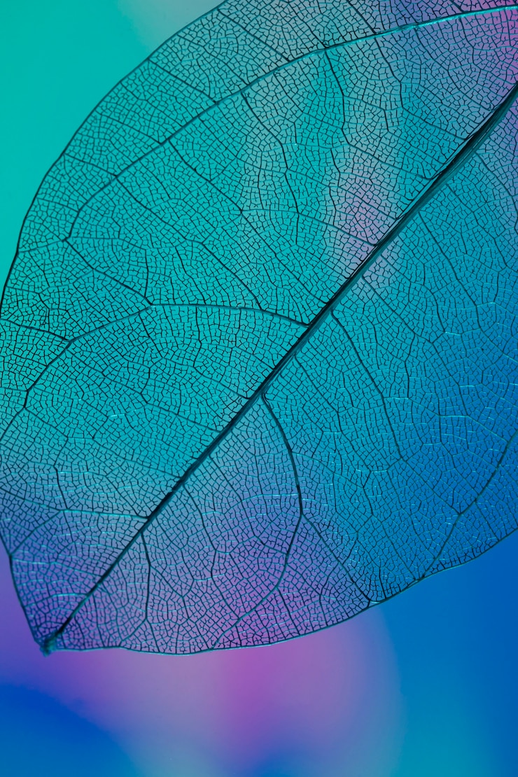 Foto grátis folha de outono transparente colorida vibrante