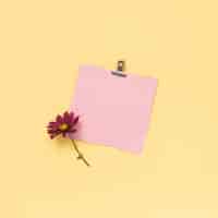 Foto grátis folha de papel em branco com flor rosa