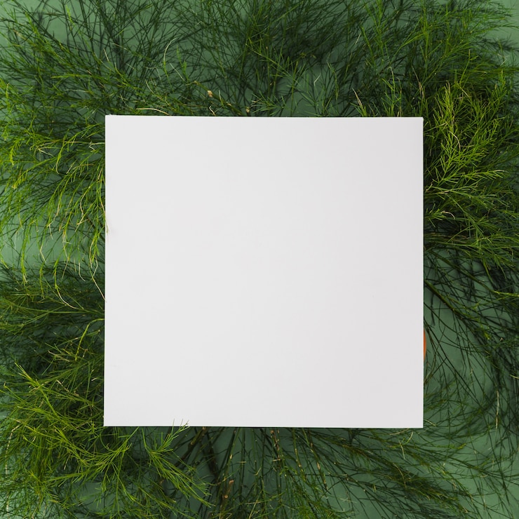 Foto grátis folha de papel em plantas verdes