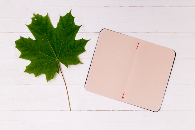 Foto grátis folha de plátano minimalista com espaço de cópia do caderno