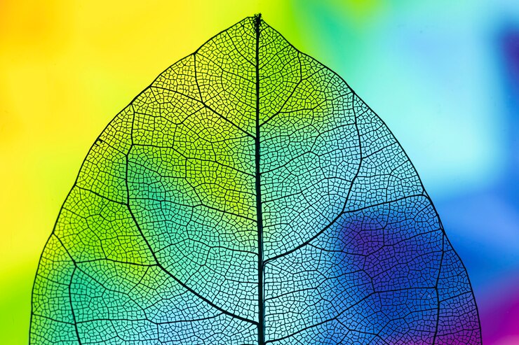 Foto grátis folha de queda vívida transparente abstrata