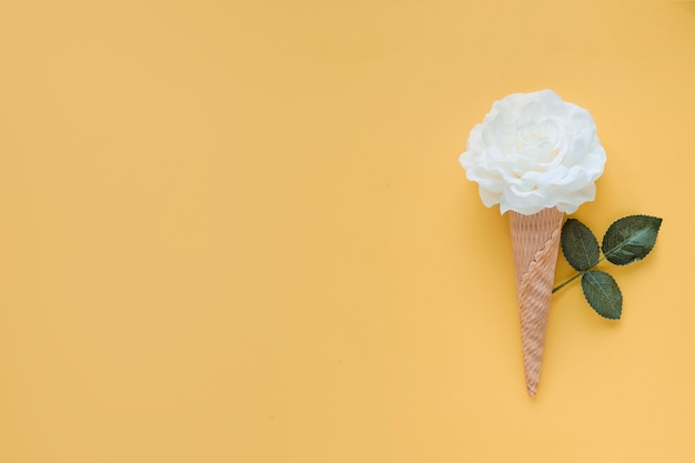 Foto grátis folha perto da flor e do cone