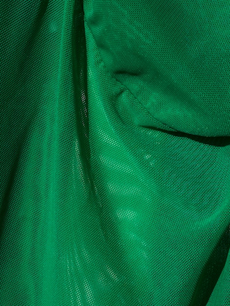 Folha verde de close-up