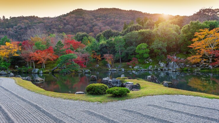 Foto grátis folhas coloridas no parque outono, japão.