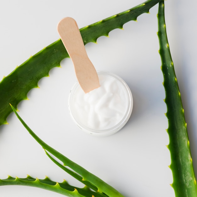 Foto grátis folhas de aloe vera com um frasco de creme de beleza