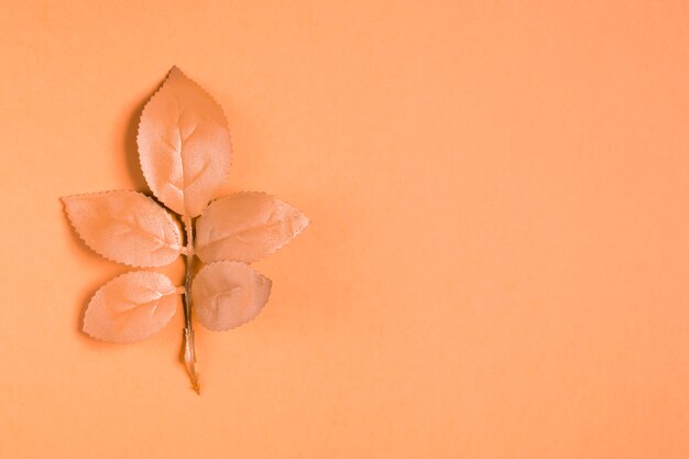 Folhas de laranja em fundo laranja com espaço de cópia