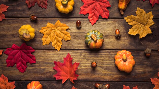 Folhas de outono bonitas, bolotas e conjunto de abóboras