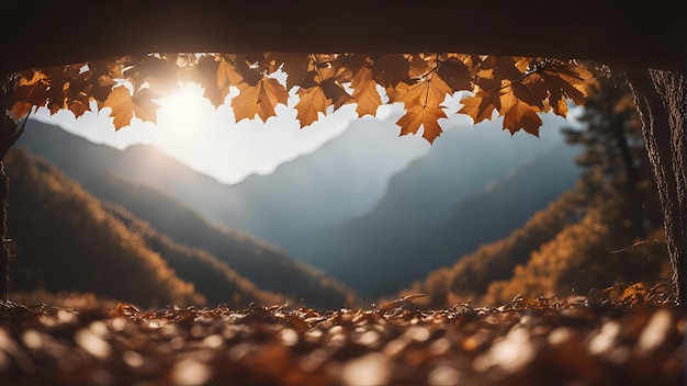 Foto grátis folhas de outono em um túnel com raios solares ao fundo