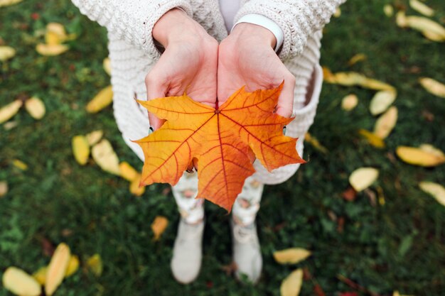 Folhas de outono nas mãos de mulheres