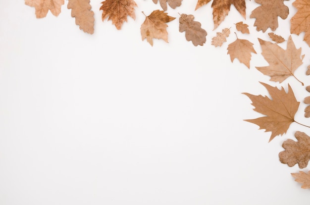 Foto grátis folhas de outono plano leigos com espaço de cópia