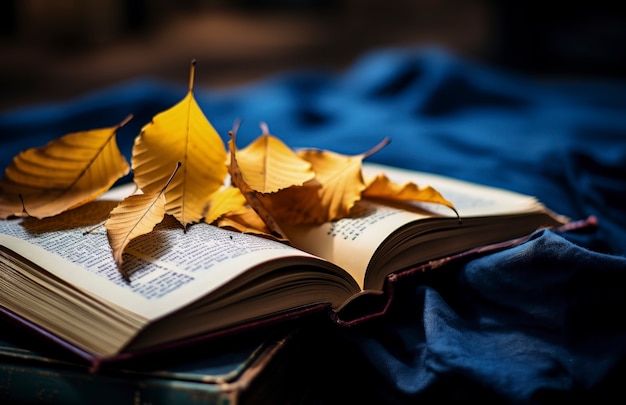 Folhas de outono secas com livro