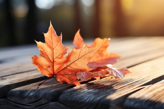Folhas de outono secas no deck de madeira
