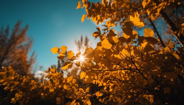 Folhas de outono vibrantes na silhueta da árvore maple gerada por IA