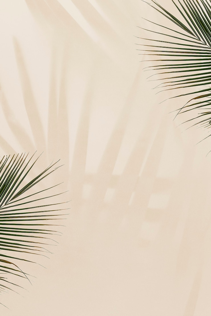 Foto grátis folhas de palmeira frescas em fundo bege