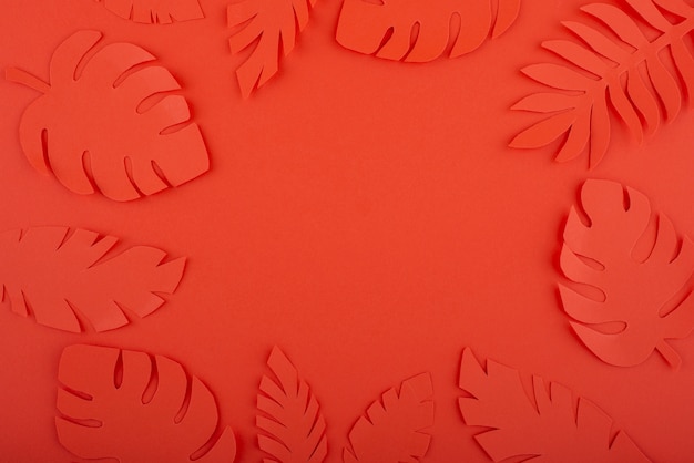 Folhas de papel em fundo de coral