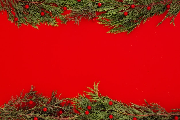 Folhas de pinheiro de Natal em um fundo de moldura vermelha com copyspace