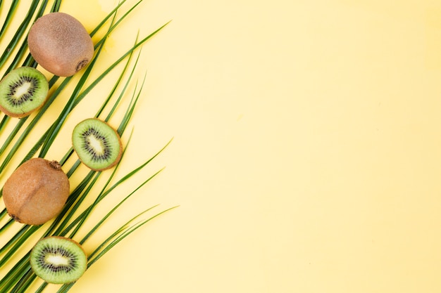 Foto grátis folhas de plantas verdes frescas e kiwi