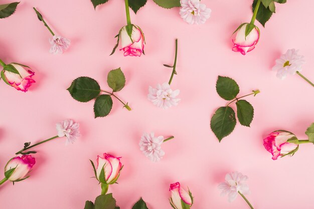 Folhas perto de rosas e margaridas