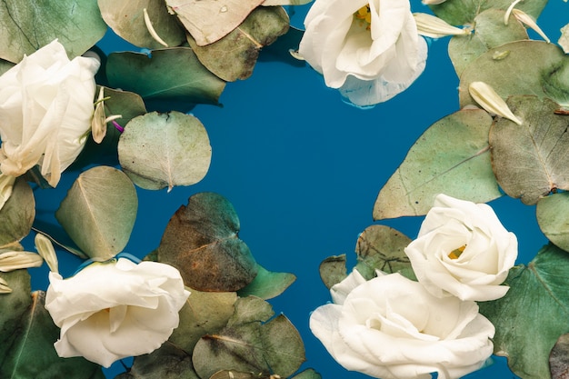 Folhas planas e pétalas na água azul