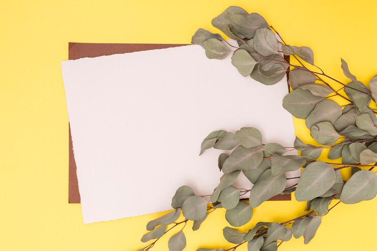 Foto grátis folhas secas de decoração e cartão vazio