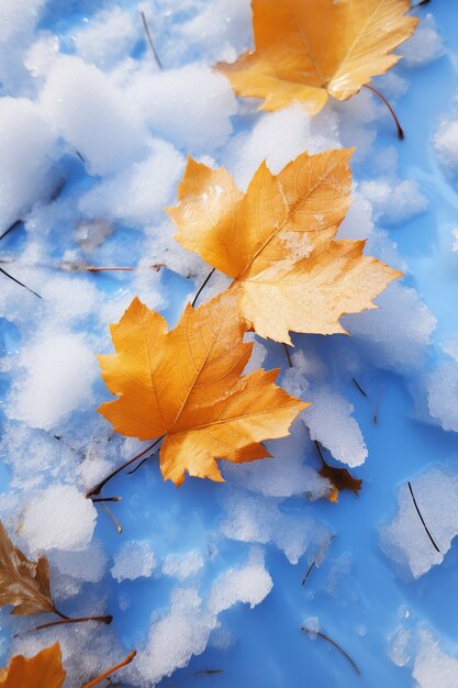 Folhas secas de outono com neve durante o início do inverno