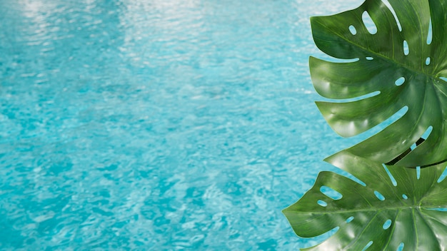 Folhas tropicais com fundo de piscina