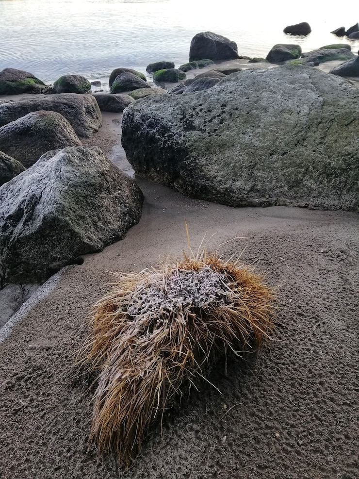Foto grátis formações rochosas na praia em stavern, noruega