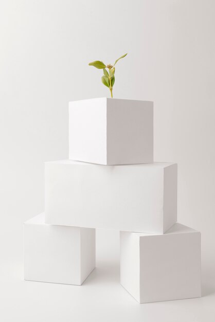 Formas geométricas em branco com plantas crescendo para o conceito de sustentabilidade