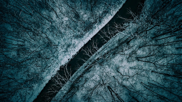 Foto aérea aérea bonita de uma estrada estreita entre árvores durante o inverno