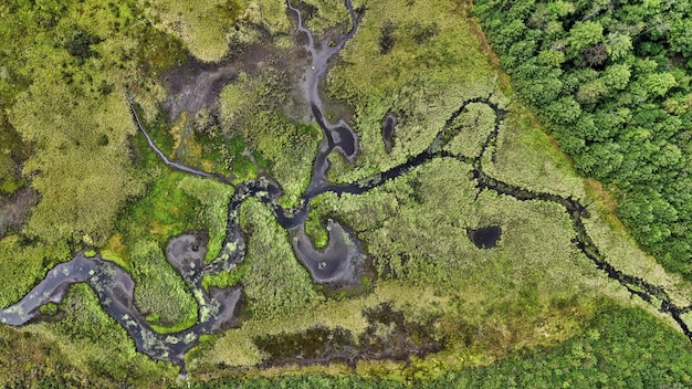 Foto grátis foto aérea da paisagem da bela vegetação da zona rural