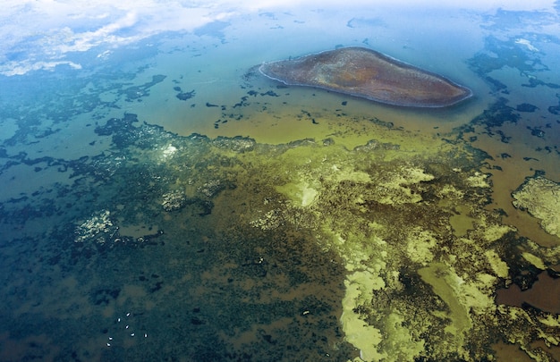 Foto aérea da proliferação de algas em um lago