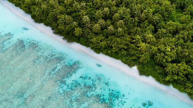 Foto aérea das Maldivas, mostrando a praia incrível o mar azul claro e as selvas