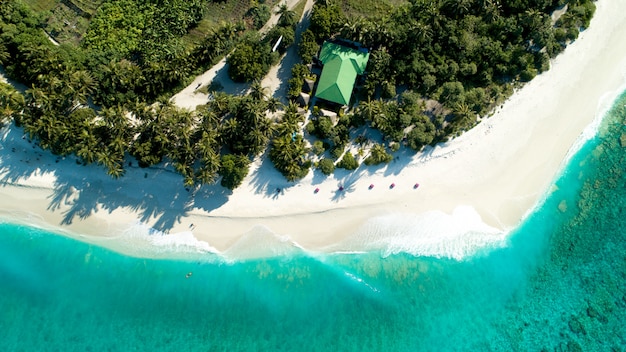 Foto aérea das Maldivas, mostrando a praia incrível o mar azul claro e as selvas