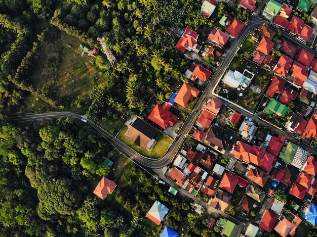 Foto grátis foto aérea de edifícios coloridos cercados por árvores