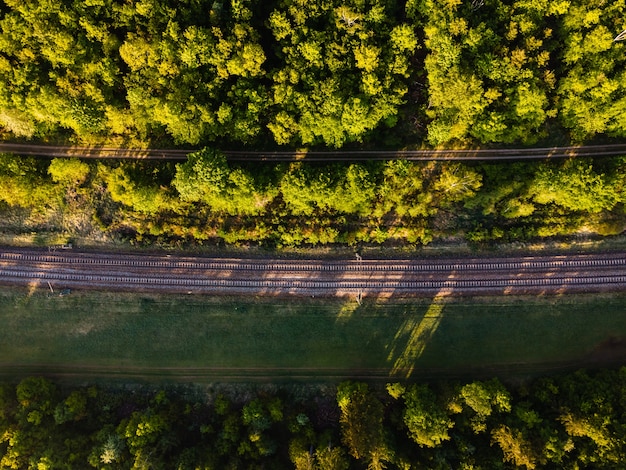 Foto aérea de ferrovias cercadas por florestas sob a luz do sol na Alemanha