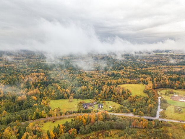 Foto aérea de tirar o fôlego da floresta de outono coberta por nuvens densas