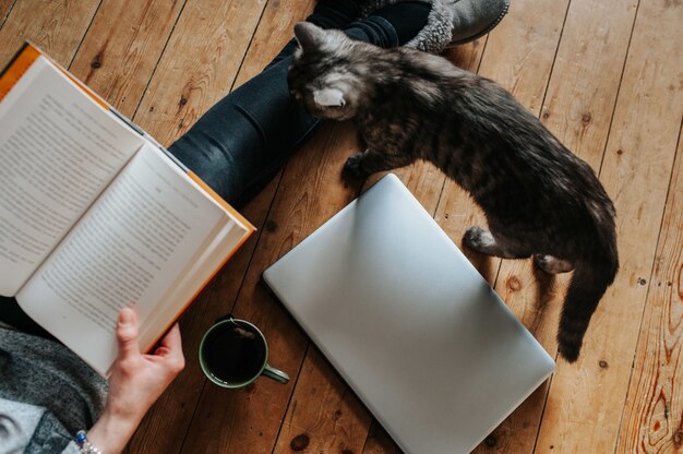 Foto aérea de um gato fofo, fêmea lendo um livro, laptop e uma xícara de chá no chão