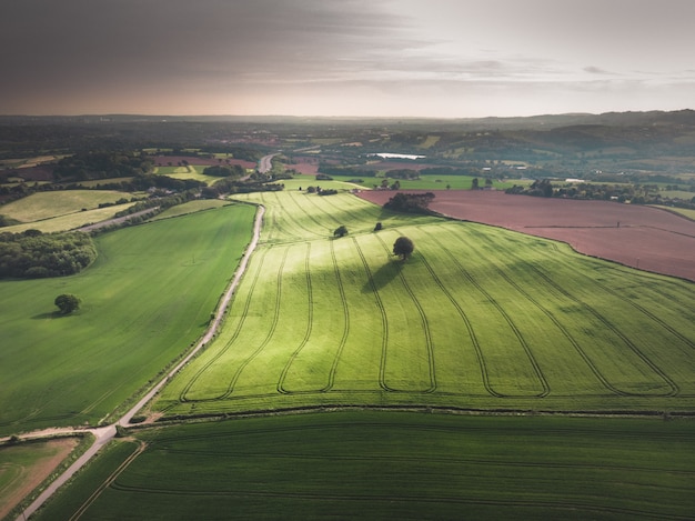 Foto grátis foto aérea de um lindo campo verde com árvores sob um céu cinza