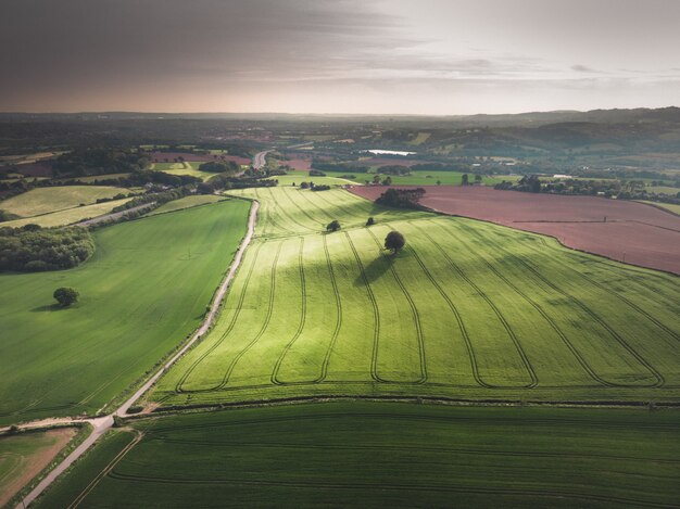 Foto aérea de um lindo campo verde com árvores sob um céu cinza