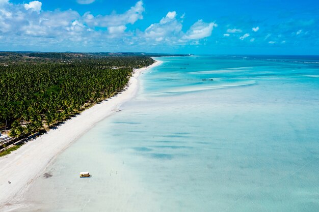 Foto aérea de um mar azul claro com uma costa arborizada e uma praia ao lado