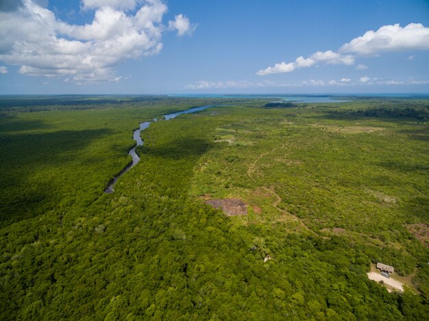 Foto aérea de um rio passando por um campo verde tropical capturado em Zanzibar, África