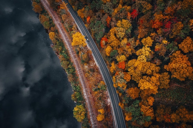 Foto aérea de uma estrada em uma floresta coberta de árvores amareladas cercadas por um lago